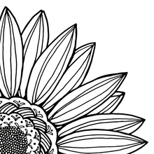 Load image into Gallery viewer, Flower Inspired Pattern and Mandala Drawing Workshop 5/20/24 6:30 pm in Ballston Spa, NY