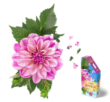 Load image into Gallery viewer, I AM DAHLIA 350 piece jigsaw puzzle  (provides 8 meals)