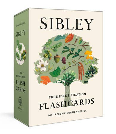 Sibley Tree Identification Flashcards (provides 8 meals)