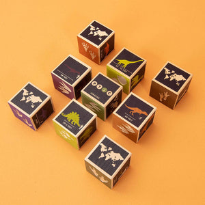 Uncle Goose Dinosaur Blocks (provides 8 meals)