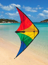 Load image into Gallery viewer, 48&quot; Learn to Fly Rainbow Sport Kite (provides 14 meals)