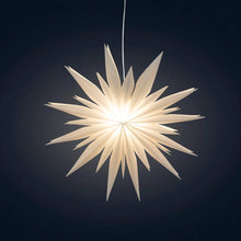 Load image into Gallery viewer, Snowflake Ice Star - 8 inch (provides 11 meals)