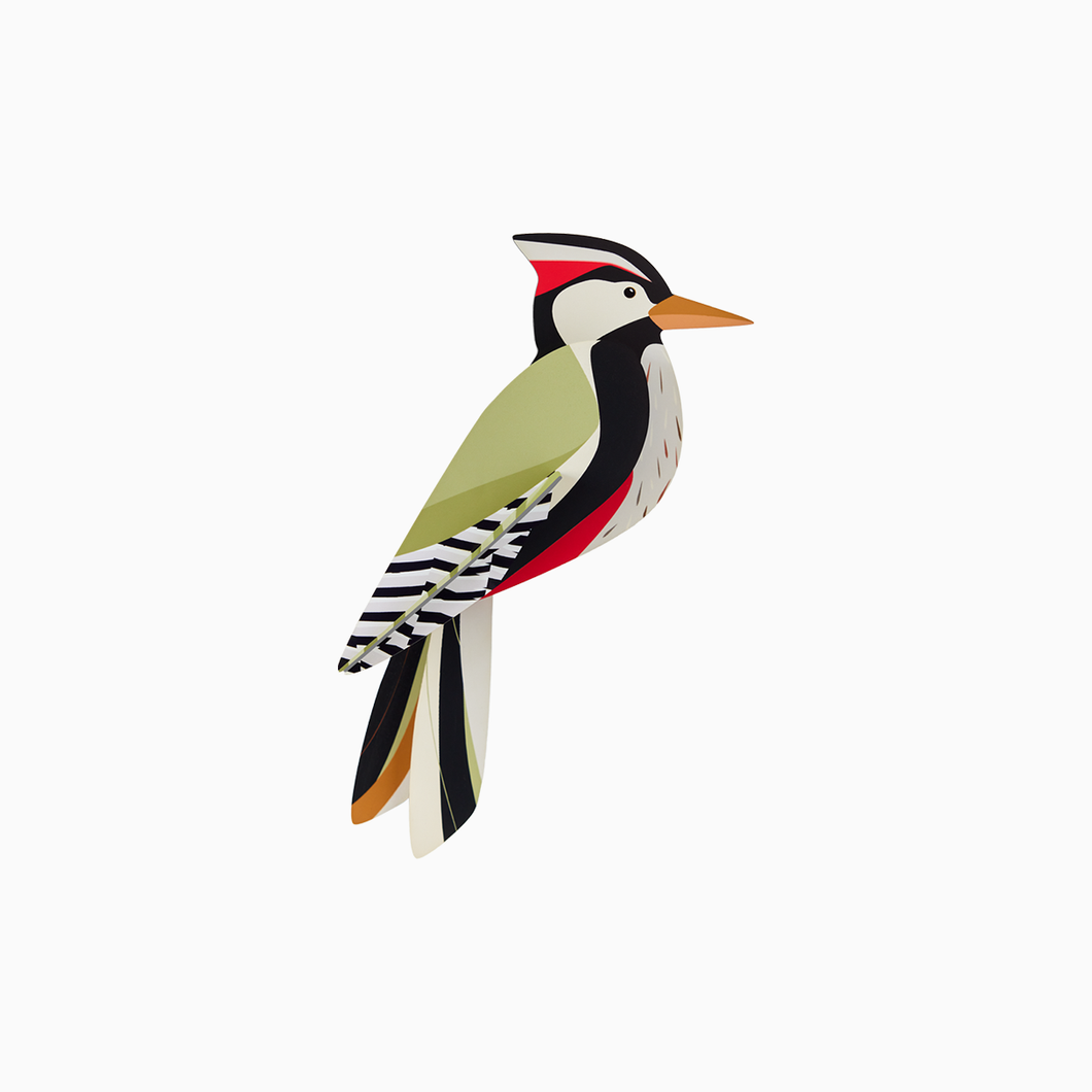 Woodpecker Wall Art (provides 7 meals)
