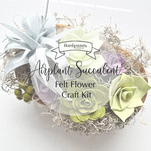 Felt Air Plant Succulent Craft Kit (provides 12 Meals)