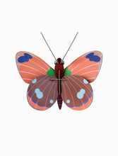 Load image into Gallery viewer, Delias Butterfly (provides 5 meals)