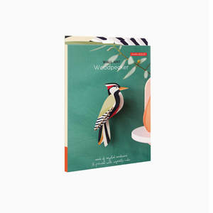 Woodpecker Wall Art (provides 7 meals)