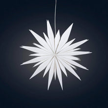 Load image into Gallery viewer, Snowflake Ice Star - 8 inch (provides 11 meals)