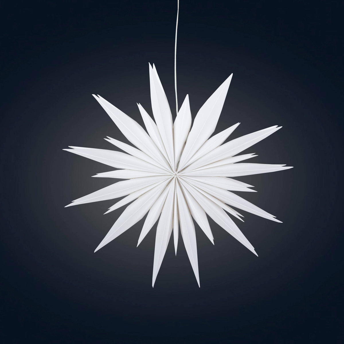 Snowflake Ice Star - 12 inch (provides 12 meals) – Nourish Designs