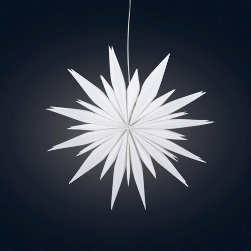 Snowflake Ice Star - 8 inch (provides 11 meals)