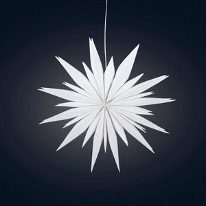 Snowflake Ice Star - 8 inch (provides 11 meals)