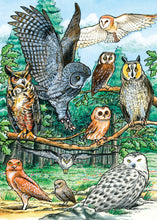 Load image into Gallery viewer, North American Owls (tray) 35pc puzzle (provides 2 meals)