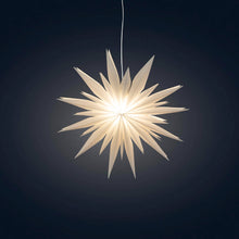 Load image into Gallery viewer, Snowflake Ice Star - 8 inch (provides 11 meals)