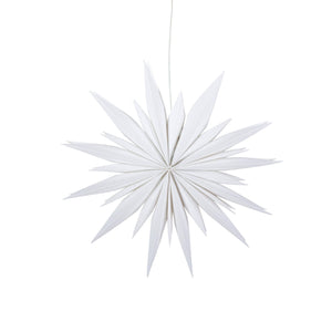 Snowflake Ice Star - 8 inch (provides 11 meals)