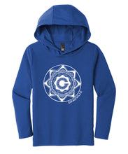 Load image into Gallery viewer, SPECIAL ORDER Youth Hooded T-shirt