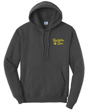 Load image into Gallery viewer, BSCSD Unisex Ballston Spa Hooded Sweatshirt (provides 20 meals)