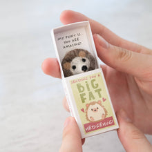 Load image into Gallery viewer, Sending You A Hedgehug In A Matchbox (4 meals)