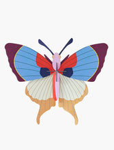 Load image into Gallery viewer, Plum Fringe Butterfly (provide 9 meals)