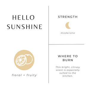 Hello Sunshine Frosted Candle (provides 14 meals)