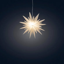 Load image into Gallery viewer, Snowflake Ice Star - 8 inch (provides 11 meals)