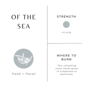 Of The Sea Frosted Candle (provides 14 meals)