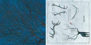 Like a Tree (provides 7 meals)
