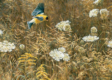 Load image into Gallery viewer, Queen Anne&#39;s Lace and American Goldfinch 500pc Puzzle (provides 6 meals)