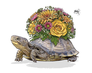 Boxed Bouquet Card - Turtle with bouquet of flowers