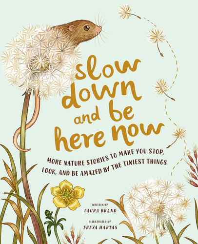 Slow Down and Be Here Now (provides 11 meals)