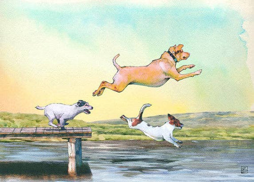 Dog Days Card - three dogs jumping into the water off a dock.