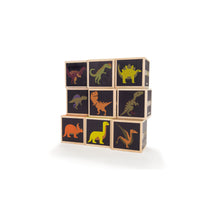 Load image into Gallery viewer, Product Image : Image of the dino blocks showing the Dinosaurs on each block