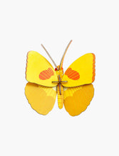 Load image into Gallery viewer, Yellow Butterfly (provides 5 meals)